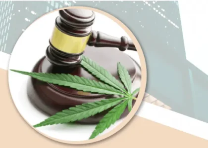 legge albanese sulla cannabis